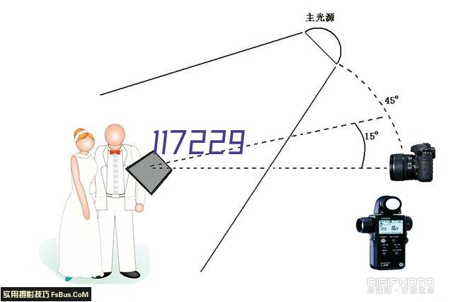 紫光高拍仪N5100（灰其他A3）