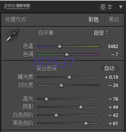 中国市长协会赴广西回访调研