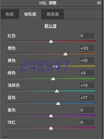 沂蒙红嫂纪念馆红色教育 —山东省建设监理与咨询协会党支部主题党日活动