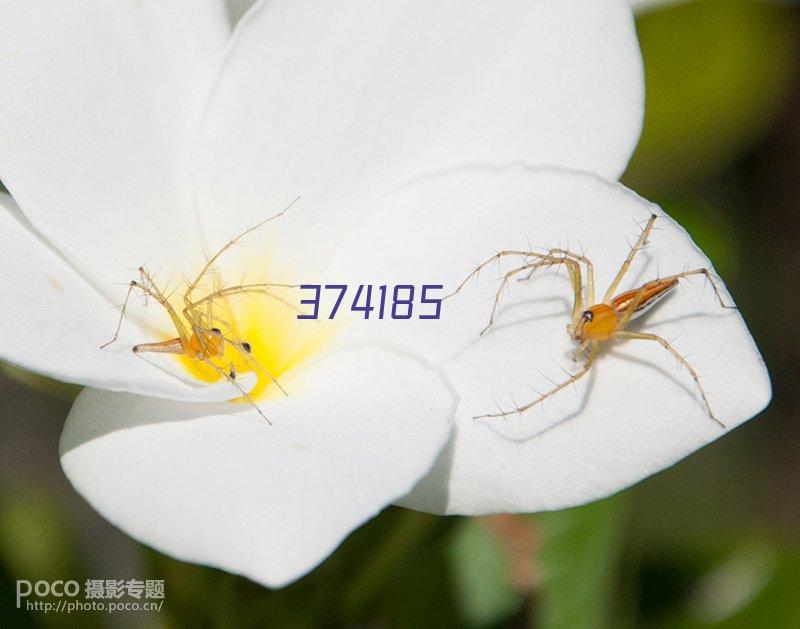 企业导师进课堂，校企联动促成长——生物工程学院举办企业家进课堂专题讲座