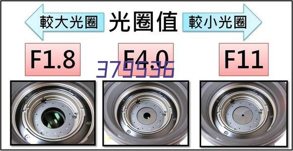 硫酸软骨素AC酶，纯度≥90%（编号：BLE002-1B）