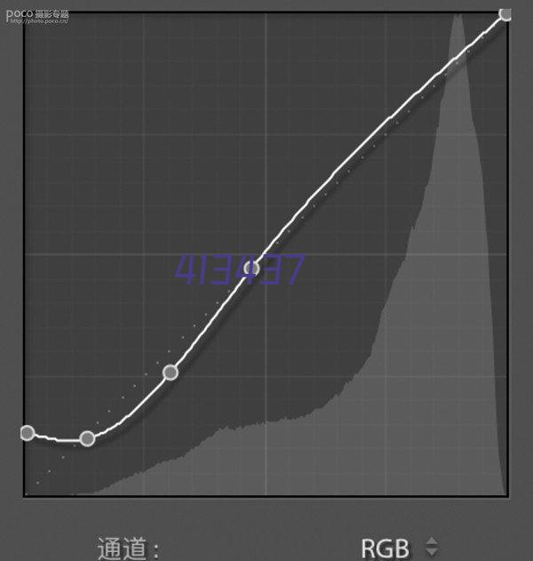 Western 免疫印迹