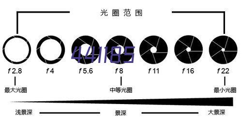 纽约自由人