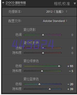 正版资料