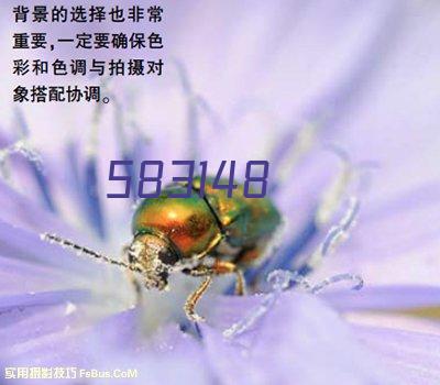 箱式电阻炉 SX2-4-10A（陶瓷纤维）