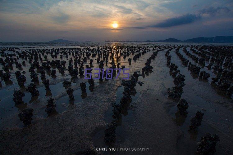 生物质蒸汽锅炉