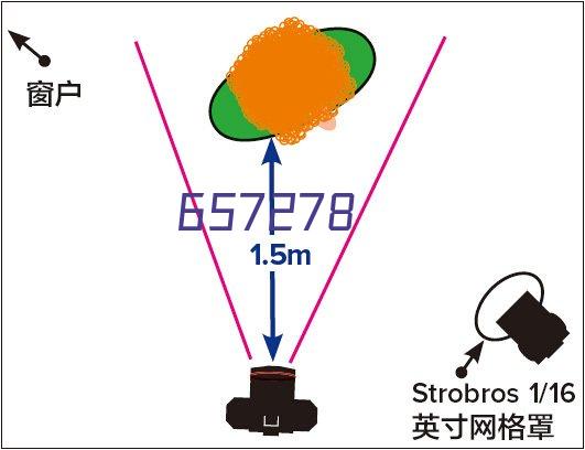 重庆 垫江