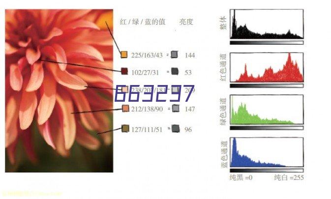 食欲“不在线”，来一场拯救您胃口的行动！