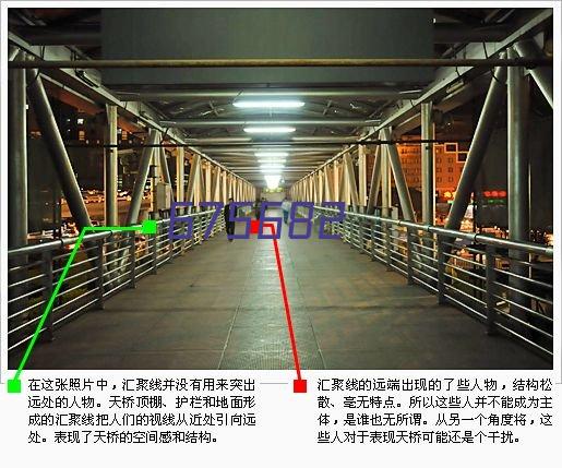 金鱼花家庭栽培及养护