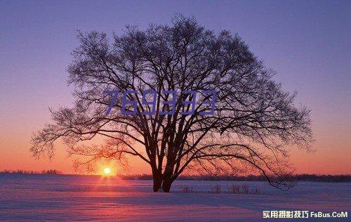 铸固 梅花转舌锁平面圆形弹子锁电箱通讯箱信箱文件抽屉柜机械锁 转舌锁16mm（通开）