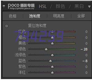 MPP电力管