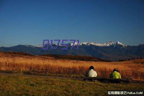 傻女人电视剧剧情介绍分集 傻女人是谁