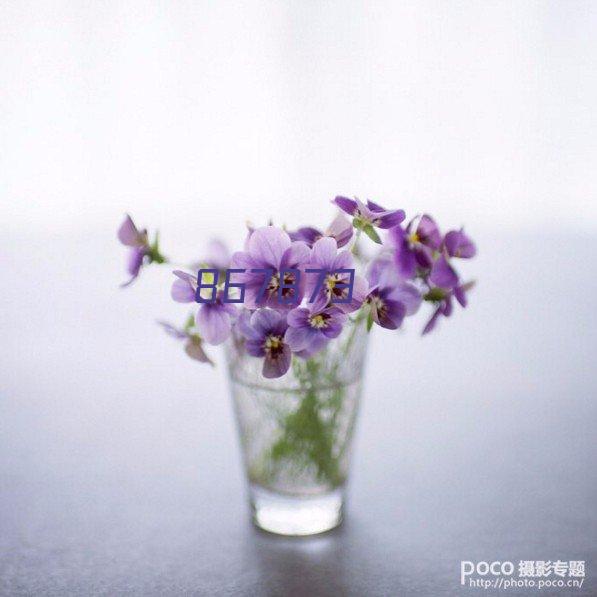 资生堂 惠润洗发露鲜花芳香600ml