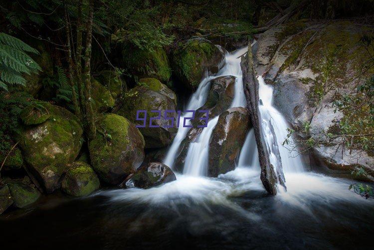 帆布防汛沙袋,防洪防水沙袋,夏季挡雨水沙袋